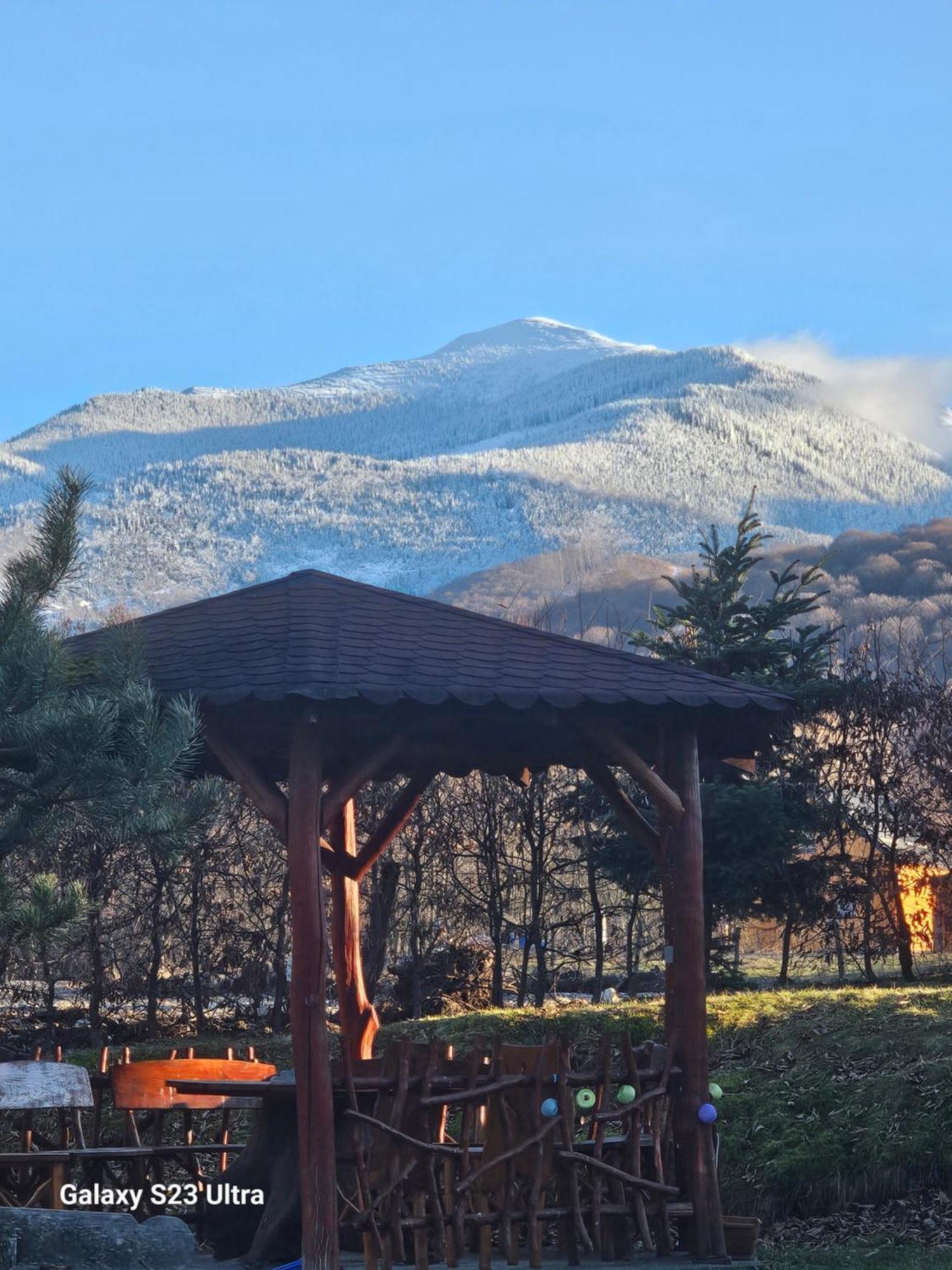 Casa De Vacanta Marin Arpasu de Sus ภายนอก รูปภาพ