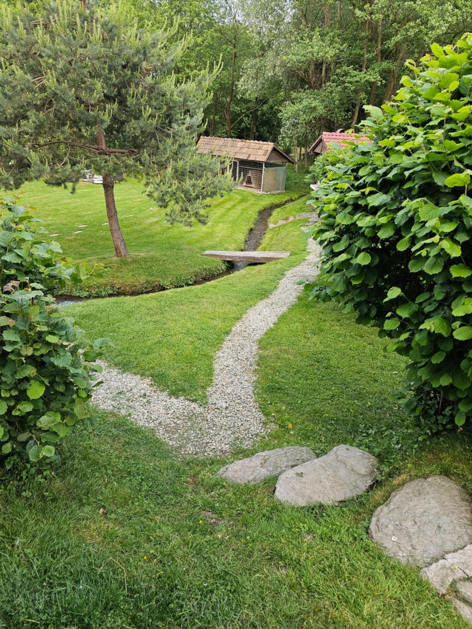 Casa De Vacanta Marin Arpasu de Sus ภายนอก รูปภาพ