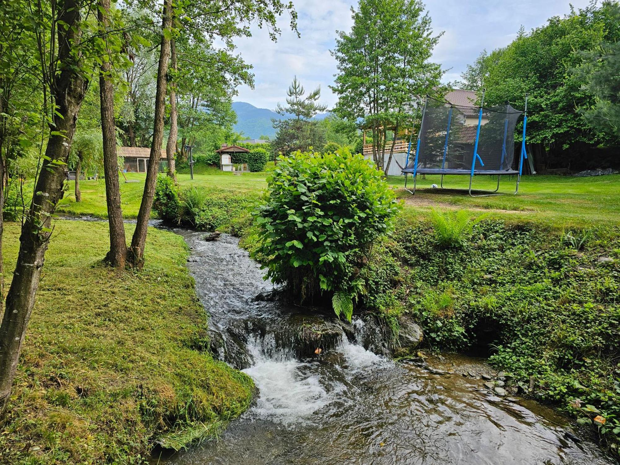 Casa De Vacanta Marin Arpasu de Sus ภายนอก รูปภาพ